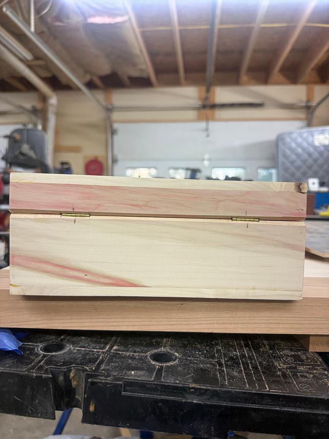 Box elder box
