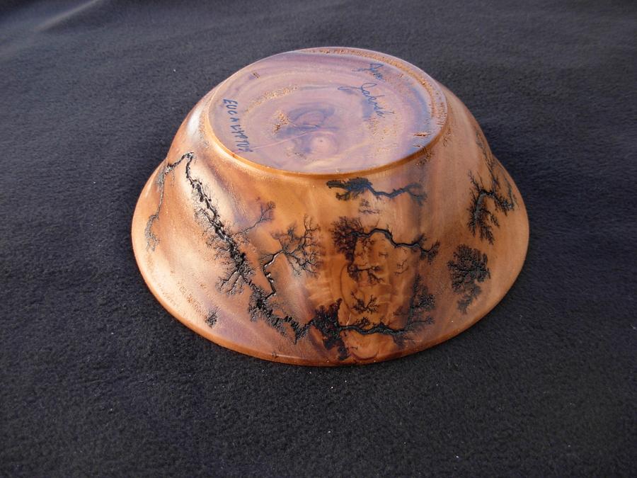 Last Eucalyptus Bowl