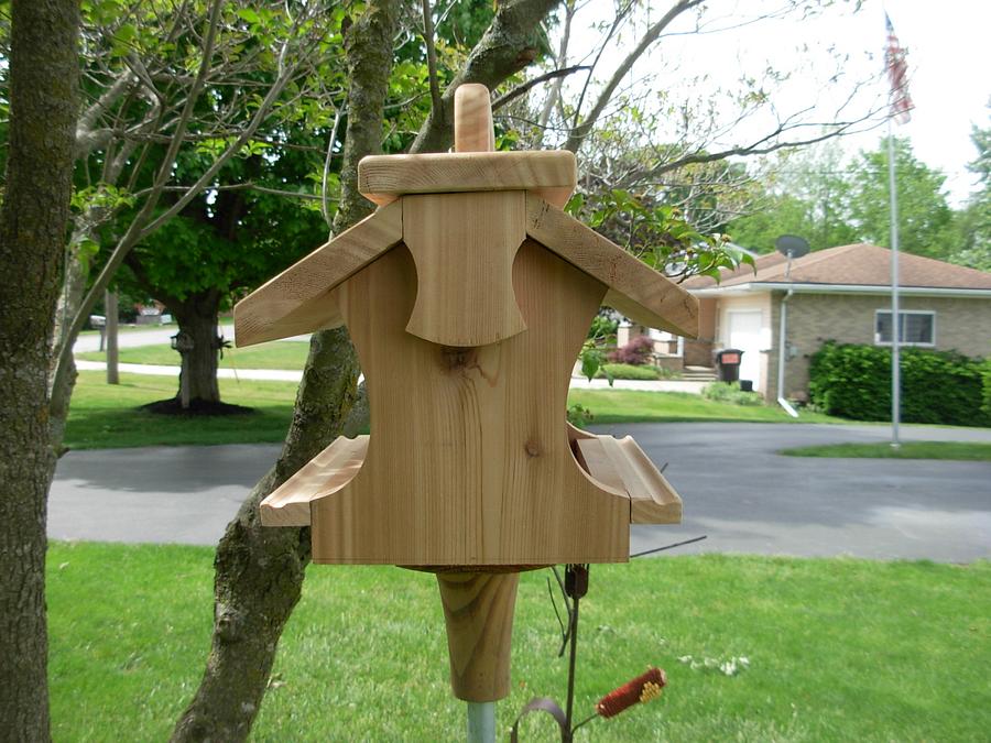 Bird Feeder
