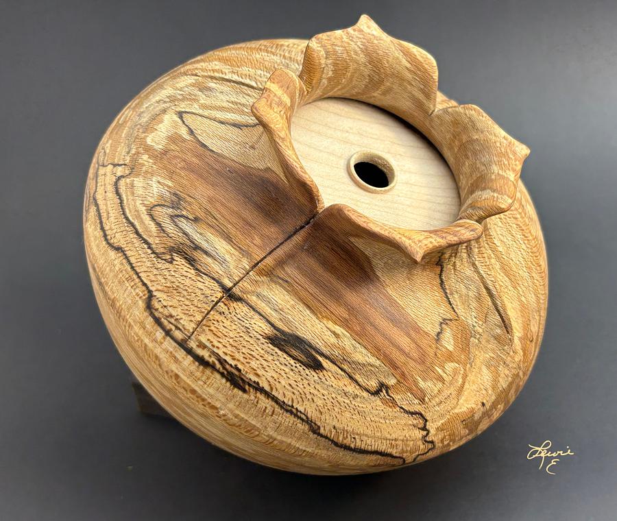 Vessel of Illusion