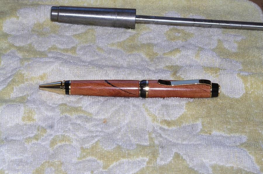 Chrysalis of a Pen