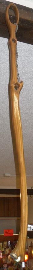 Metal Detector / Walking Stick