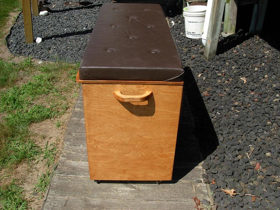 Sstorage Box/Bench