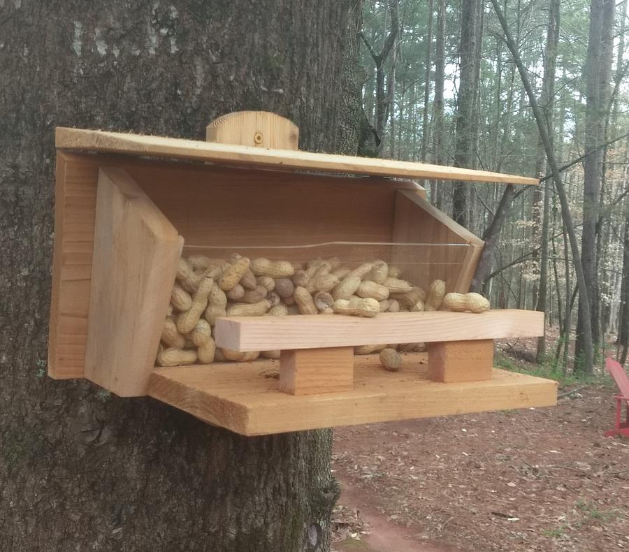 Squirrel Nut House