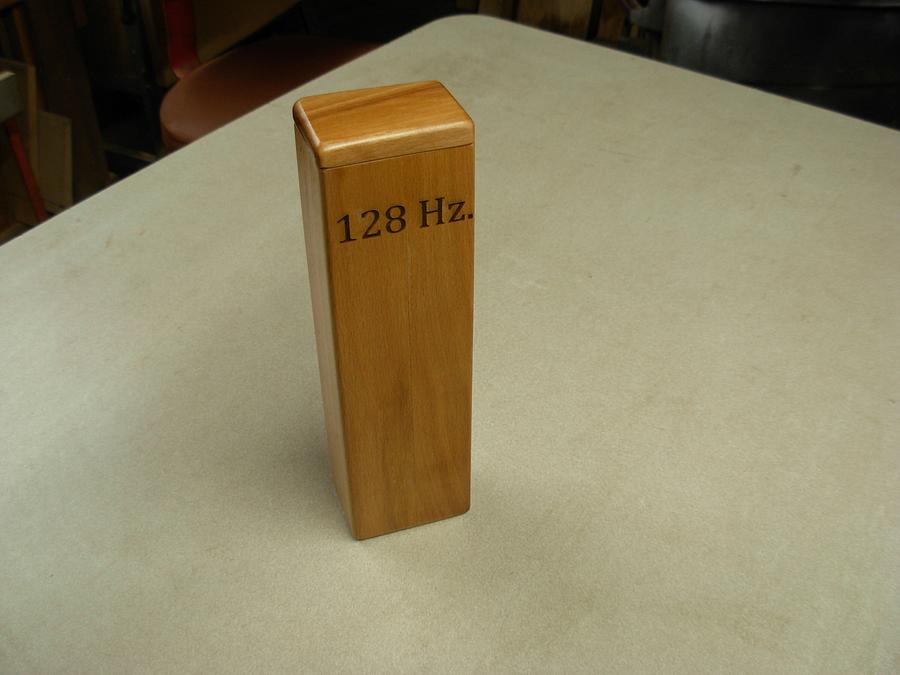 Tuning Fork Storage Tube