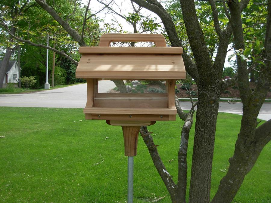 Bird Feeder
