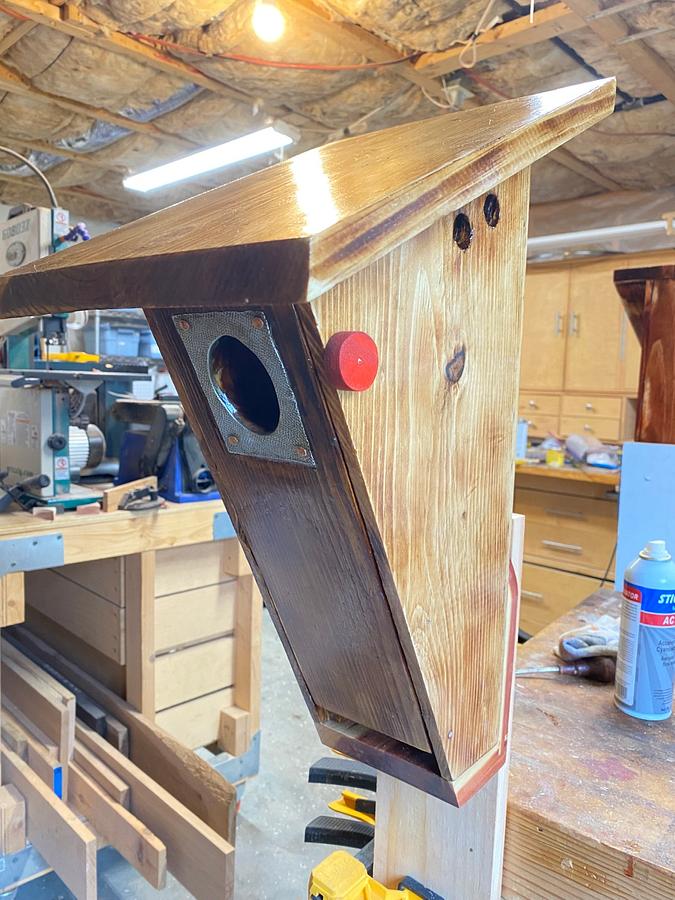 Two Bluebird Houses in Pine