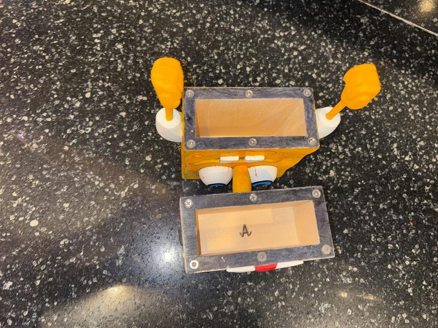 Who lives in a pineapple under the sea?