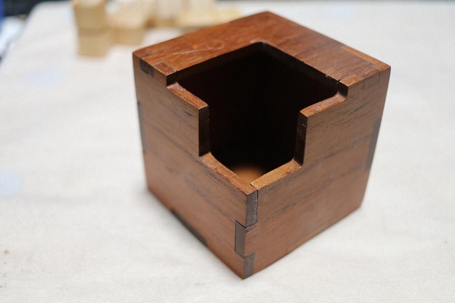 “Rattlesnake” Puzzle.