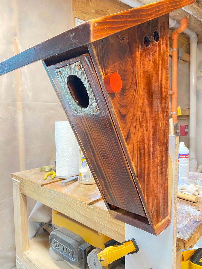 Two Bluebird Houses in Pine