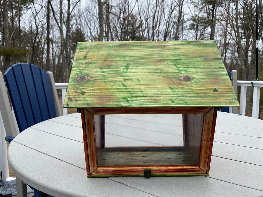 Mealworm Bird Feeder in Pine