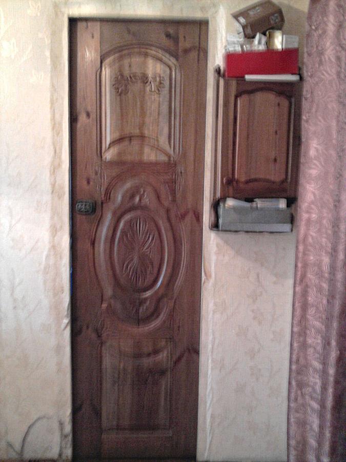 door panel samples