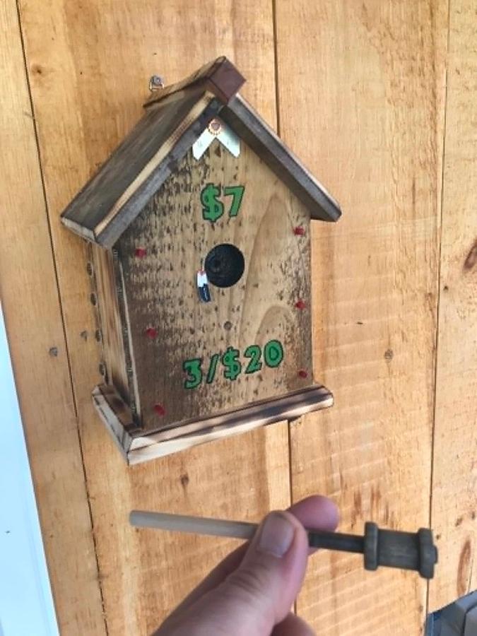 Birdhouse Money Box