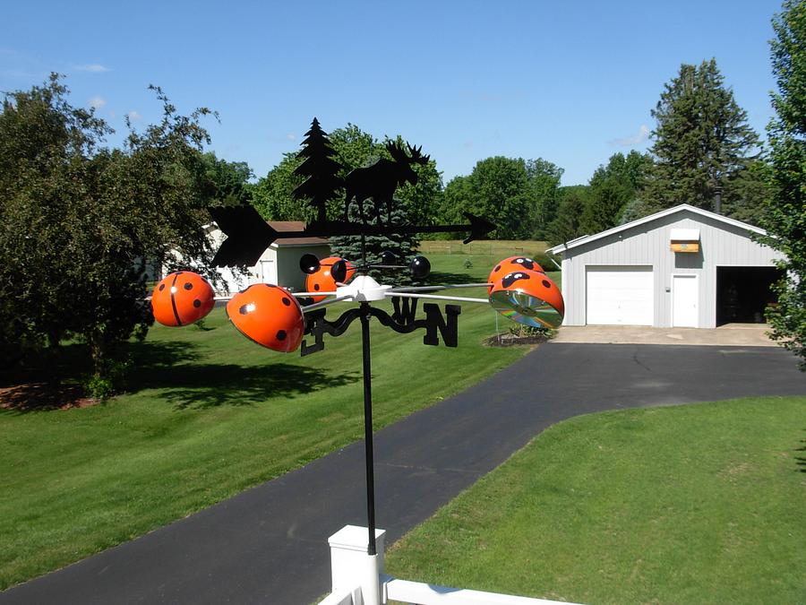 Lady Bug Windmill and Weathervane  ( Rebuild)