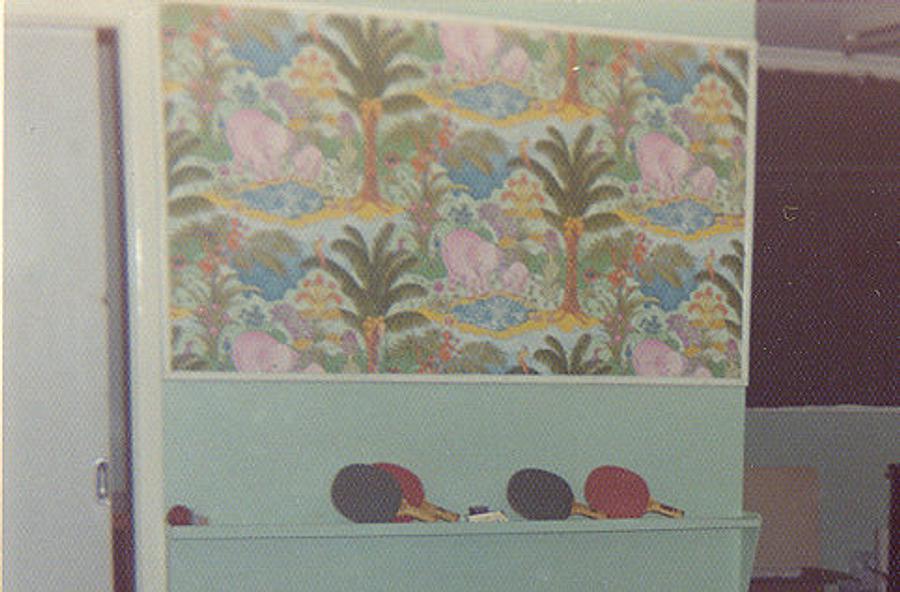 Didn’t like the pink elephants.