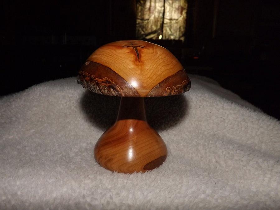 1st Lathe Mushroom