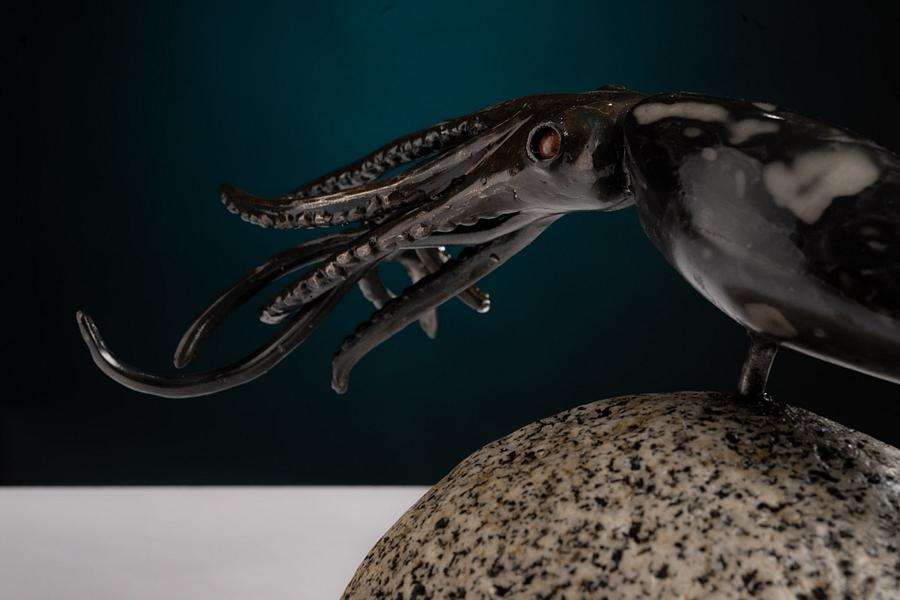 Squid!