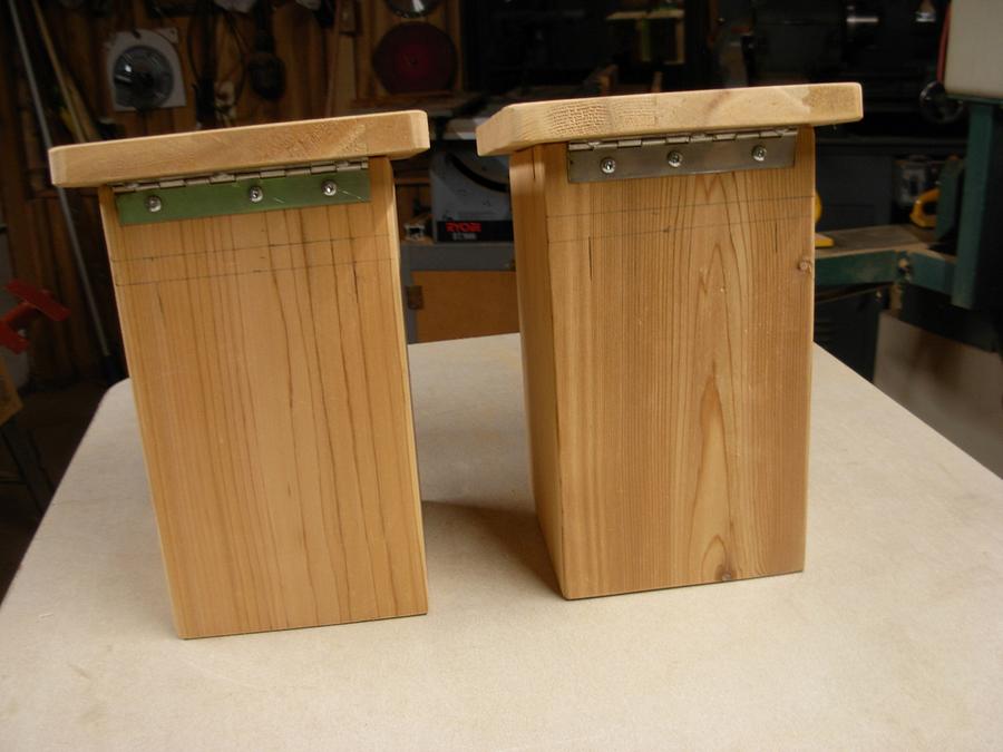 Bird Houses