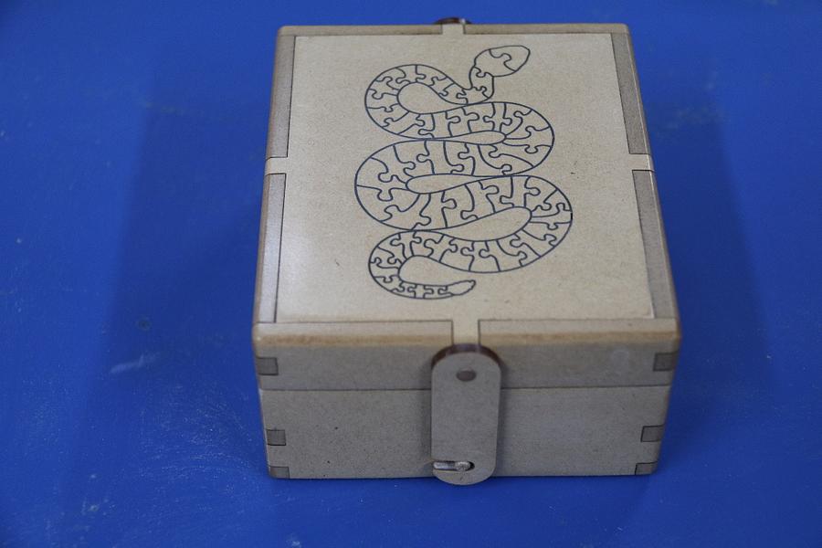 Snake in a Box
