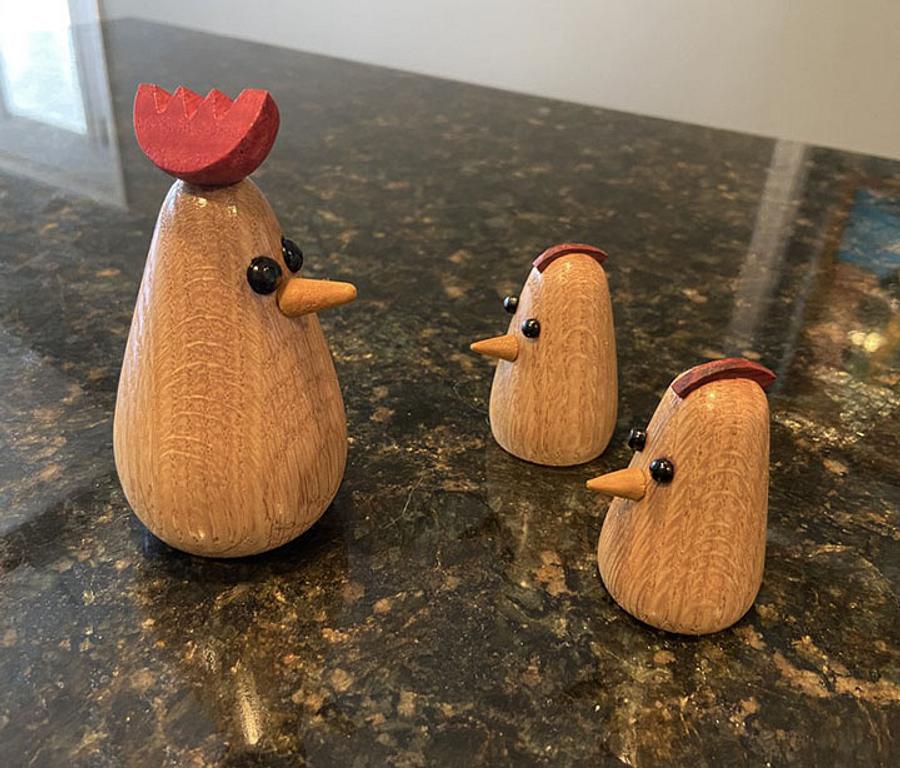 A Little Chicken Family
