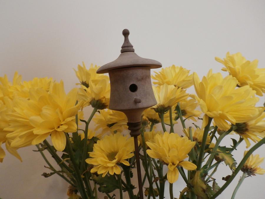 Ornamental Bird Houses