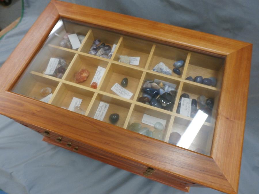 Rock and sea shell display cabinet