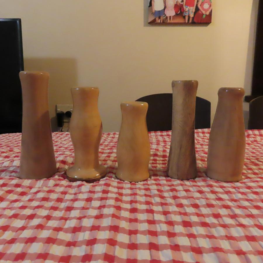 Bud Vases from Backyard Branches