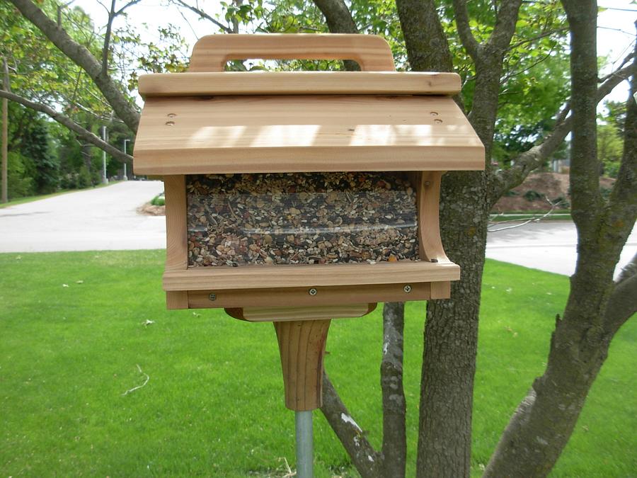 Bird Feeder