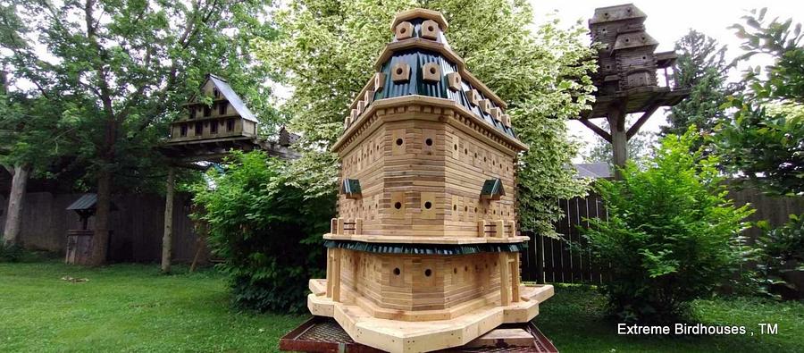 Extreme Birdhouses!