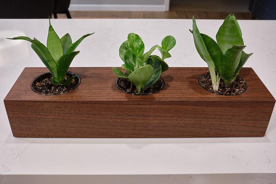 Succulent/Cactus/Miniature-plant Planter