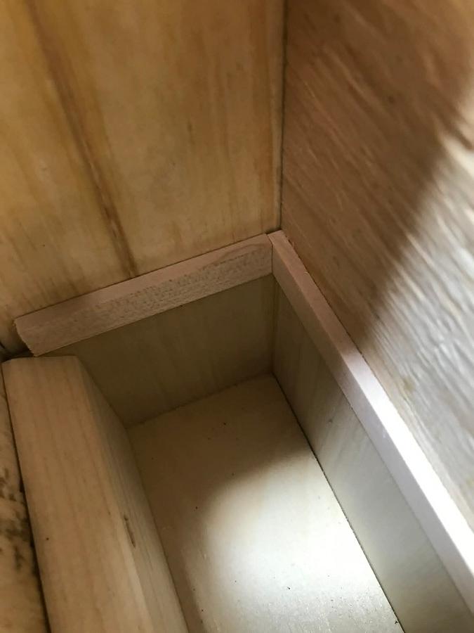 Birdhouse Money Box
