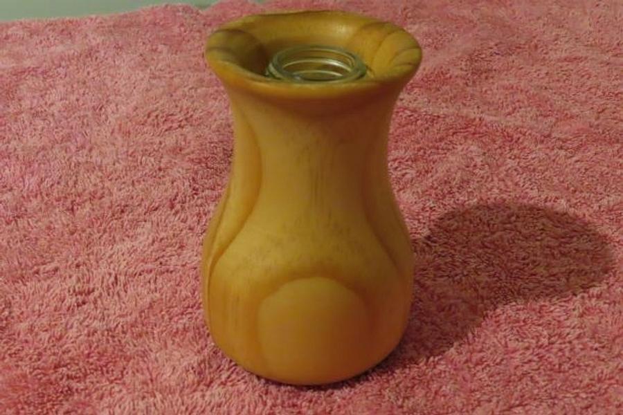 BUD VASE FROM BACK YARD BRANCH