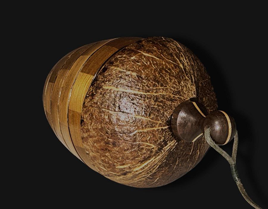 From Coconut To Birdhouse