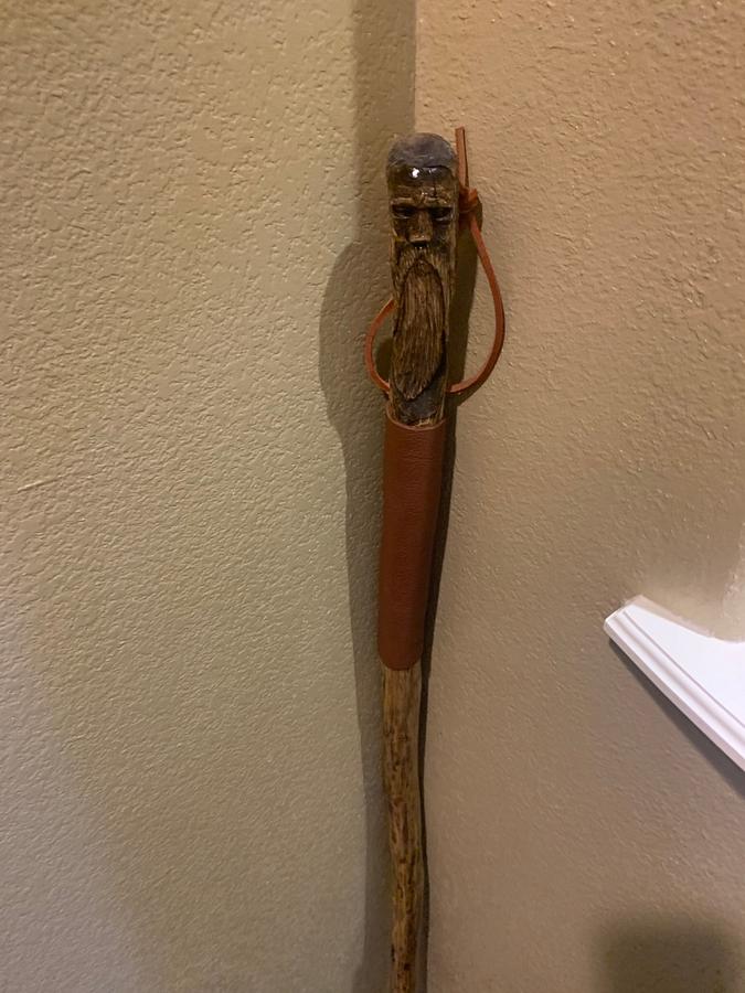 Walking stick