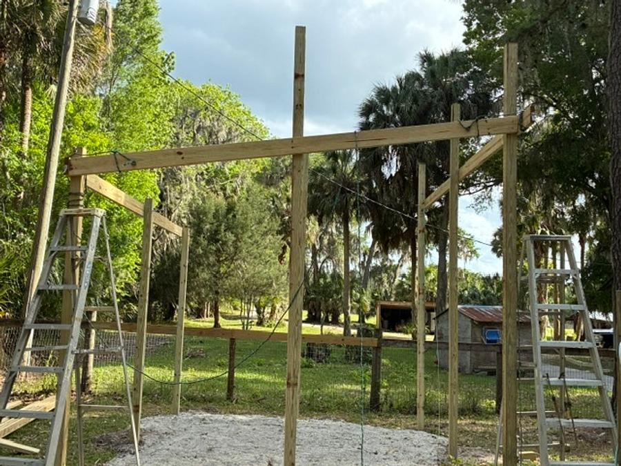 Cowgirl pool screen pergola 