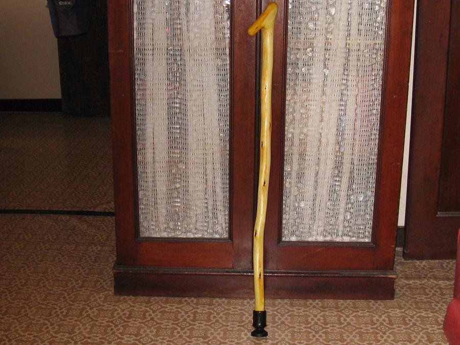 WALKING STICK MADE FROM BOAGAINVILLIA GROWING IN MY BACK YARD
