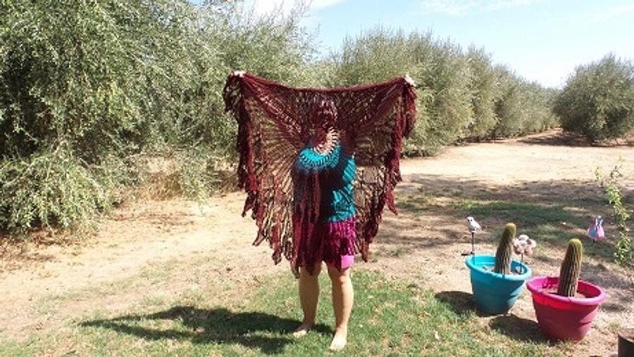 Cinnamon Butterfly/Burgundy Butterfly Shawls