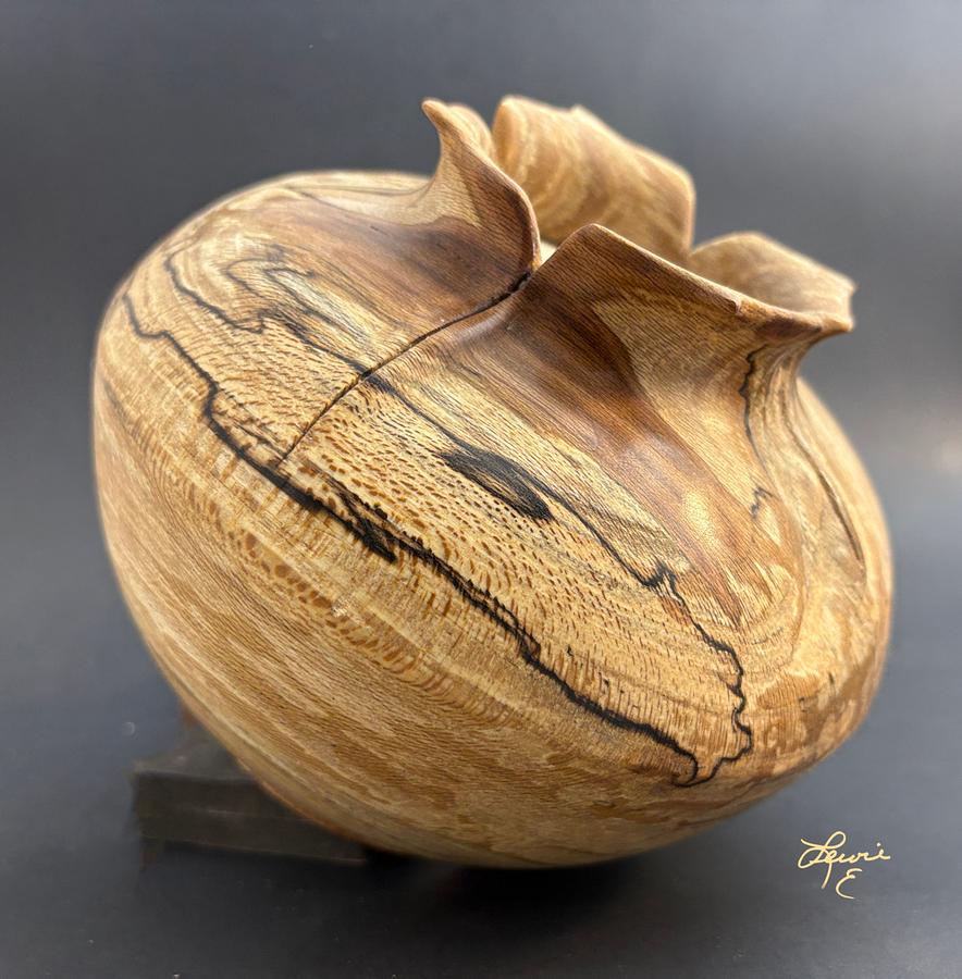 Vessel of Illusion