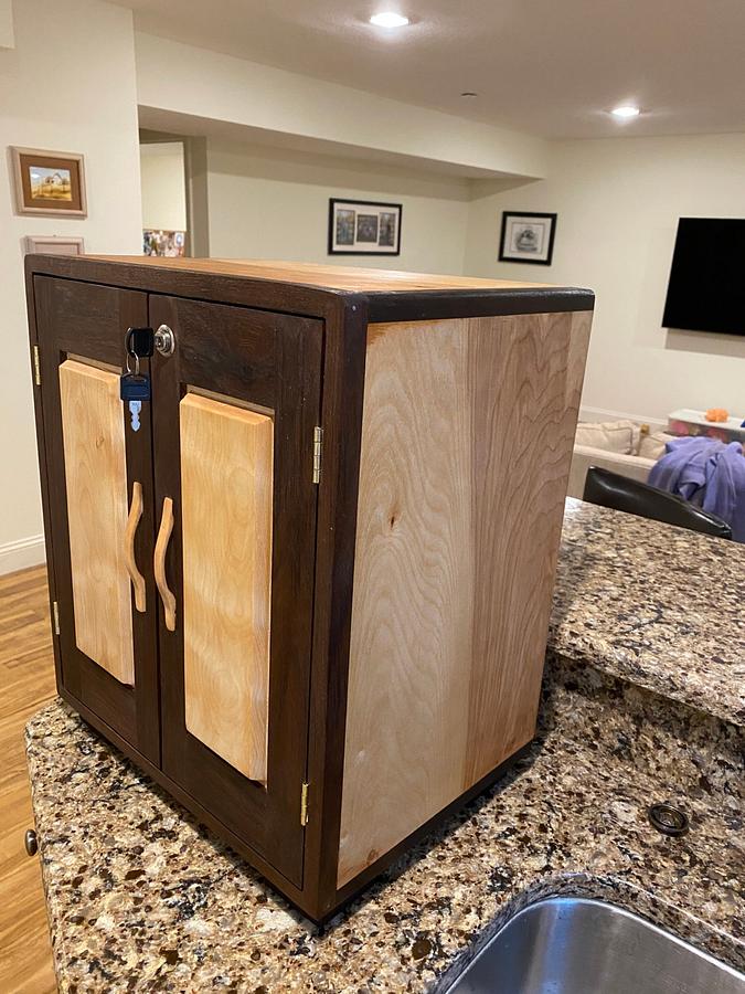 Hand Gun Cabinet