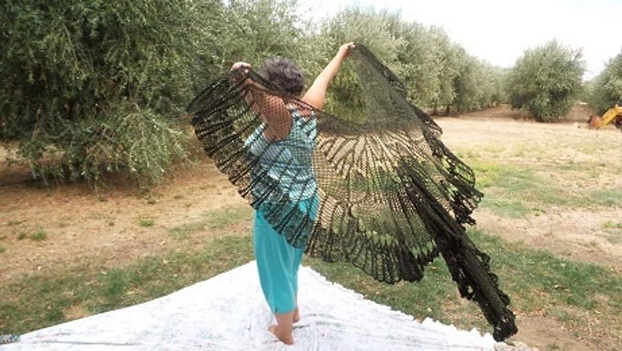 Black Swan Shawl