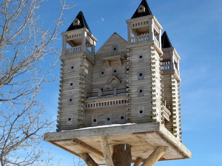 Extreme Birdhouses 