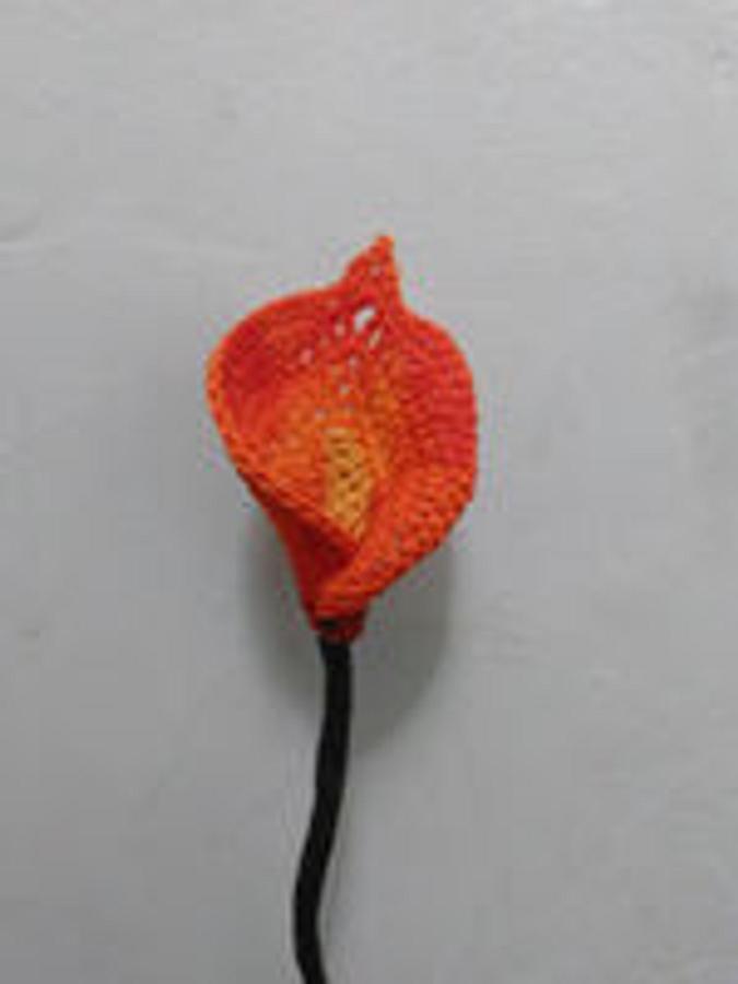 Mini Flame Calla Lily