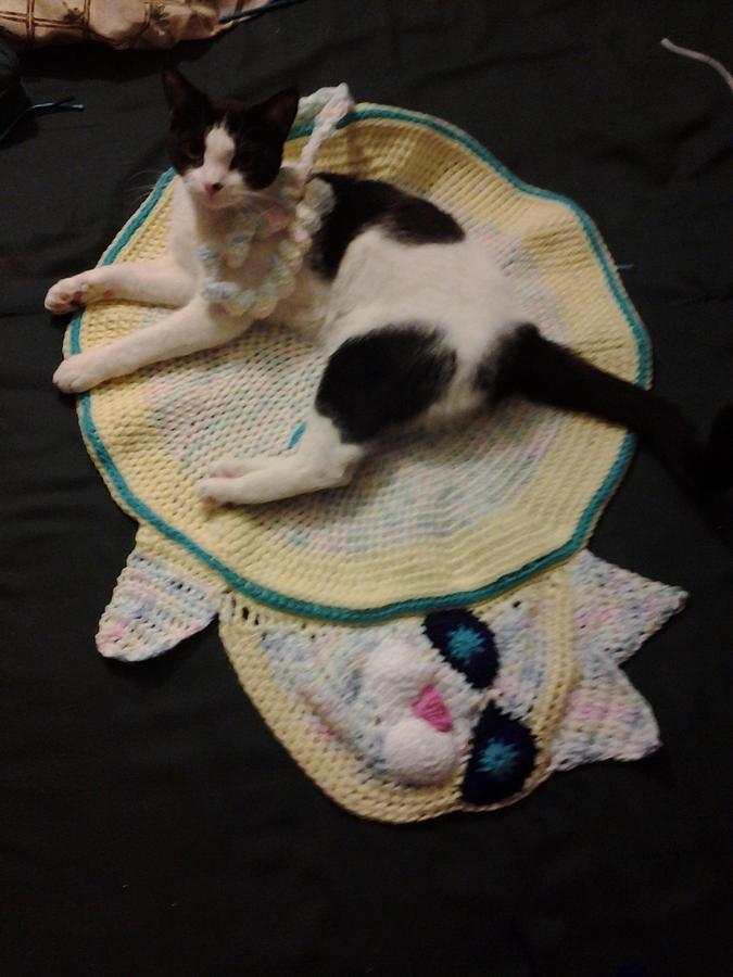 kitty bed/rug inspired by button blankie