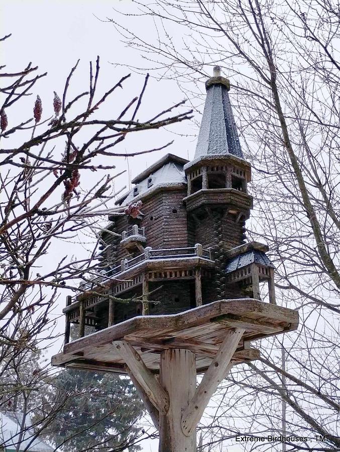 Extreme Birdhouses! Winter Time in Belgrave!