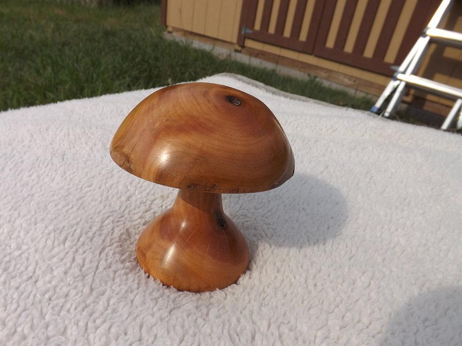 1st Lathe Mushroom