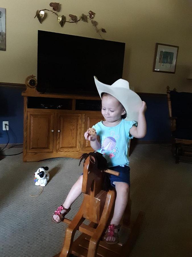 Cherry Roan Rocking Horse