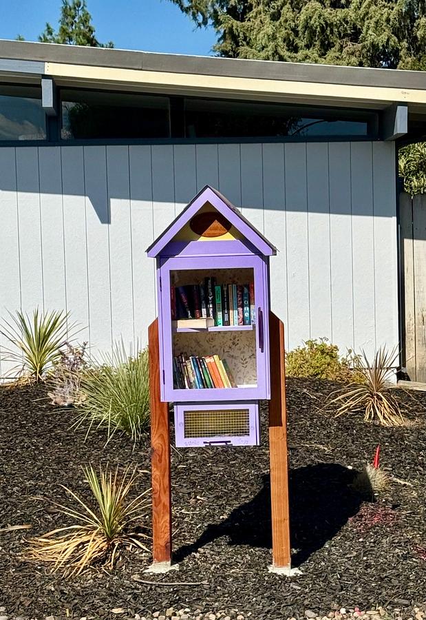 Little Library 