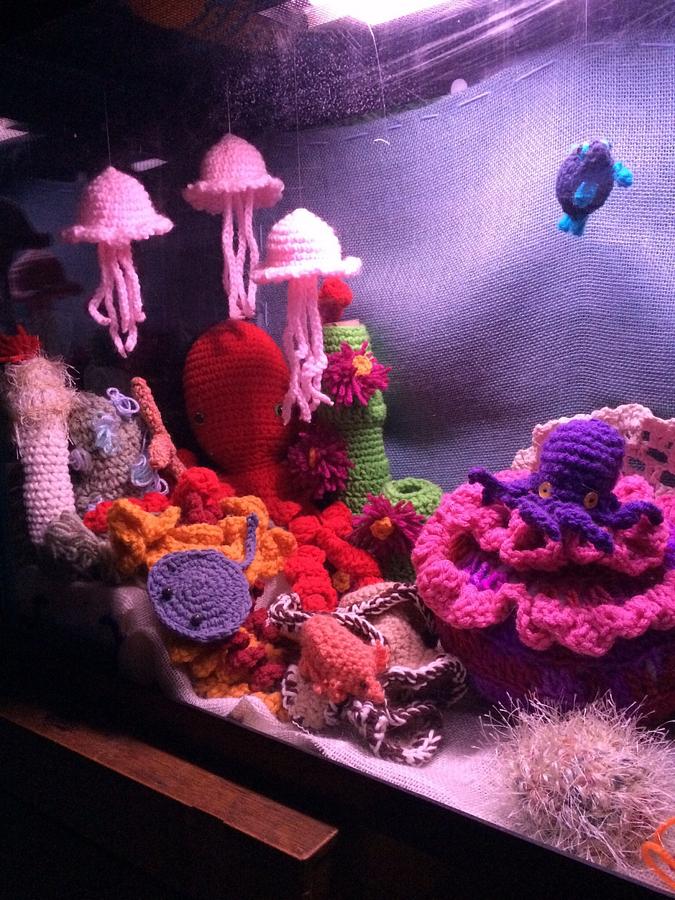 My crocheted aquarium