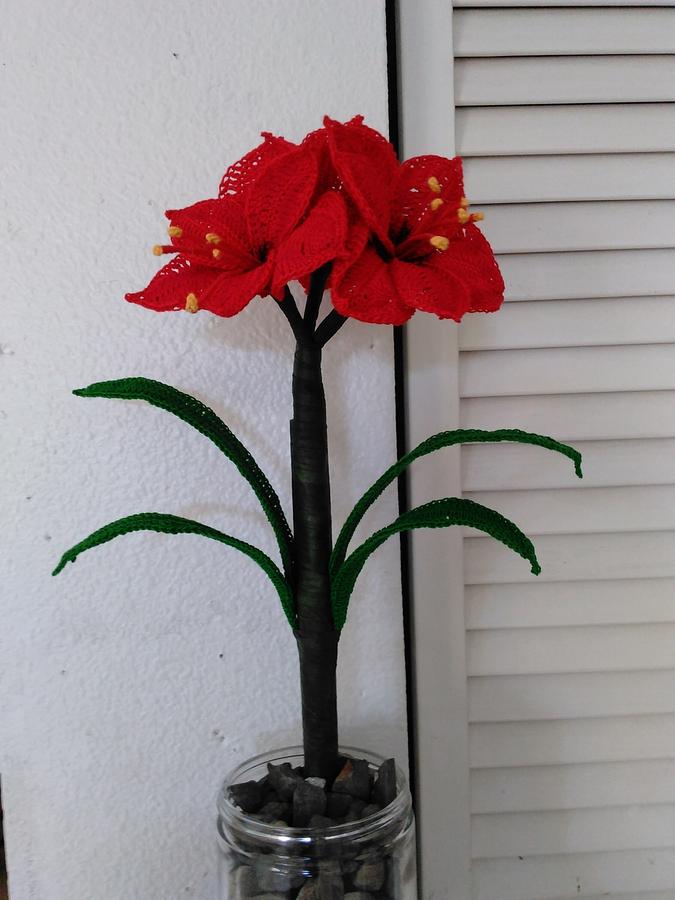 Amaryllis Flower Pattern