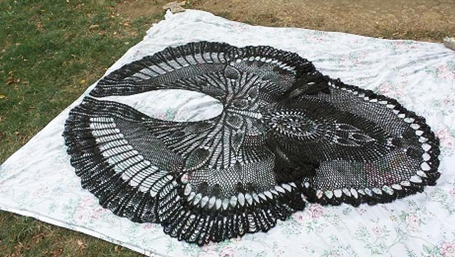 Black Swan Shawl